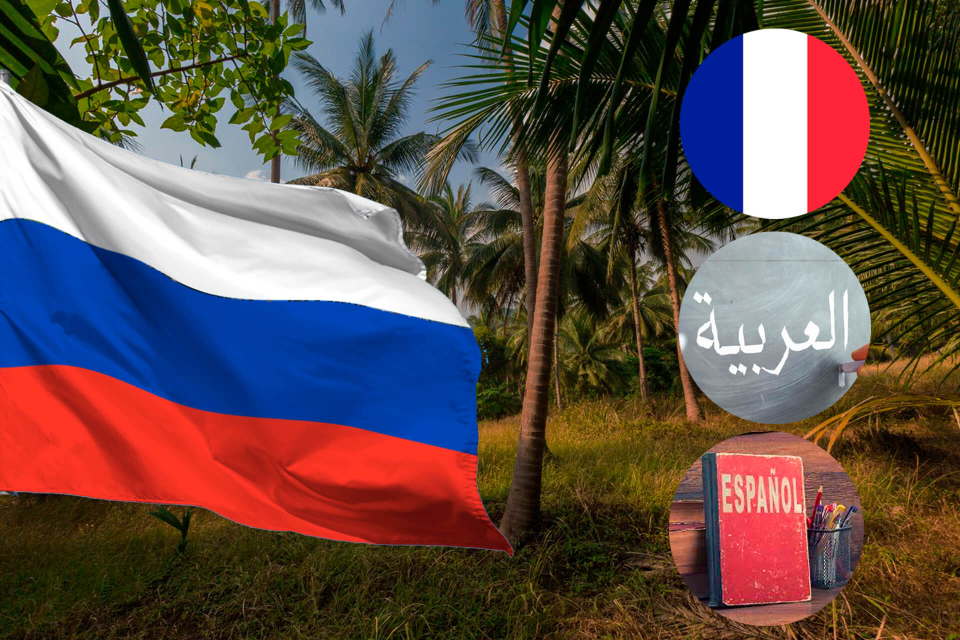 изображение русского французского, арабского, испанского языков в африке